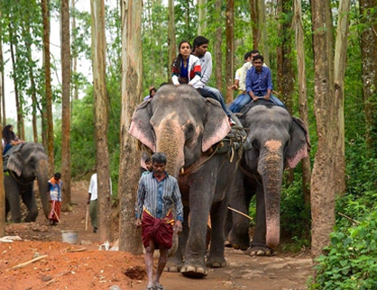 Elephant Ride