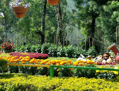 Flower Garden