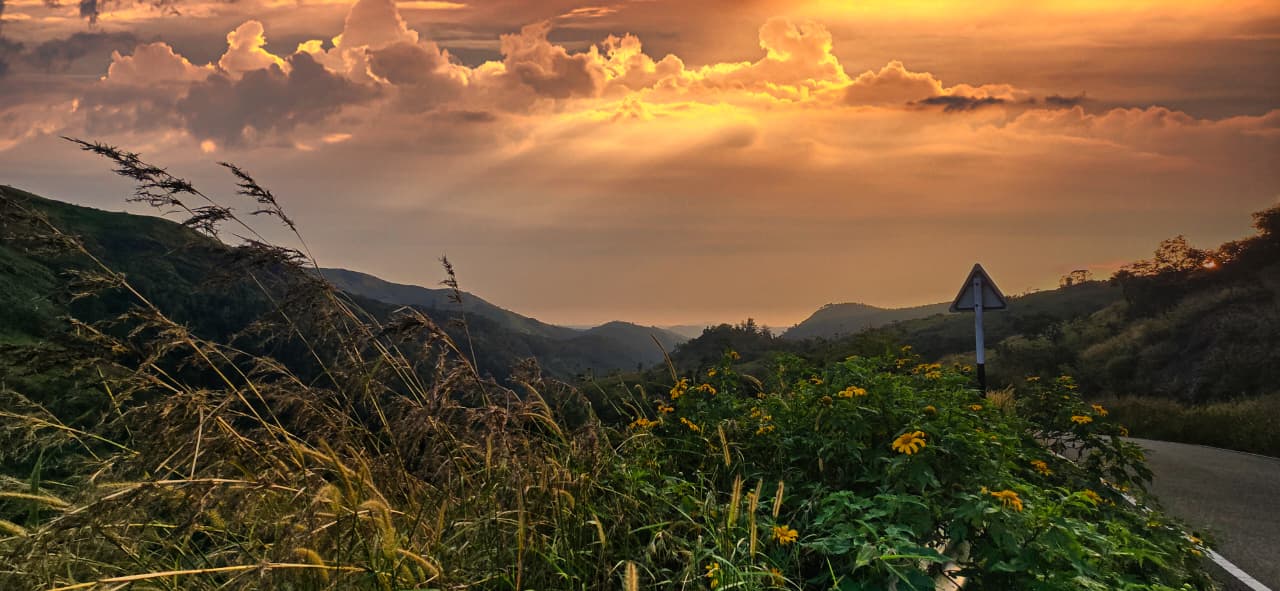 MVJ Travels Munnar