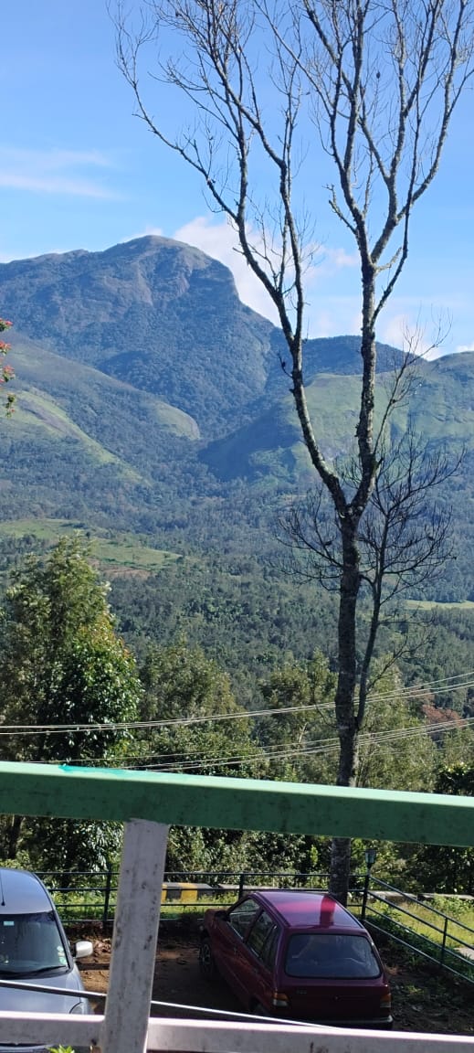MVJ Travels Munnar
