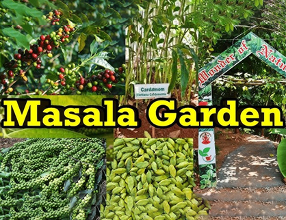 Spice Garden